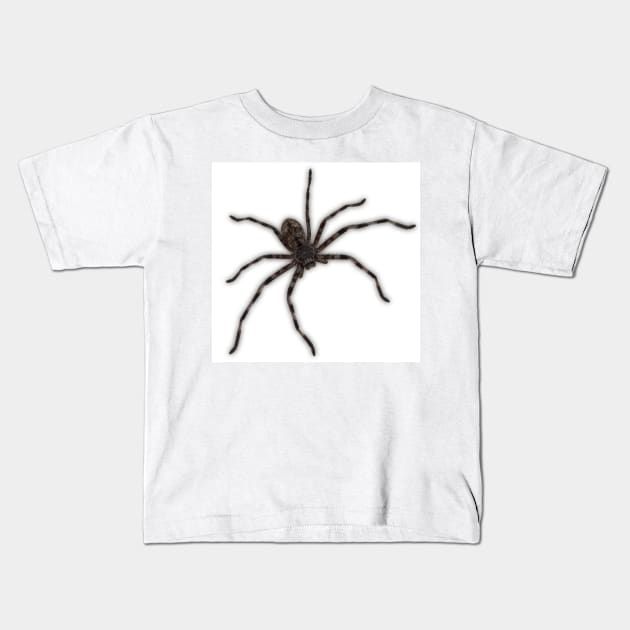 Huntsman Spider (Delena cancerides) Kids T-Shirt by Red Wolf